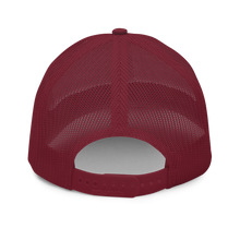 Load image into Gallery viewer, Teenior Citizen™ - “Having A Ball" Cap (Cardinal)