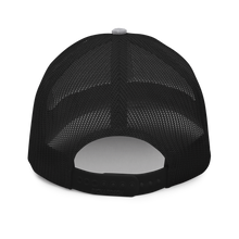 Load image into Gallery viewer, Teenior Citizen™ - “Having A Ball" Cap (Grey / Black)